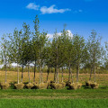 Starting a Community Organization in Boise, Idaho: Resources to Help